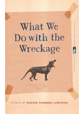 按需印刷不退不换What We Do with the Wreckage[9780820353722]