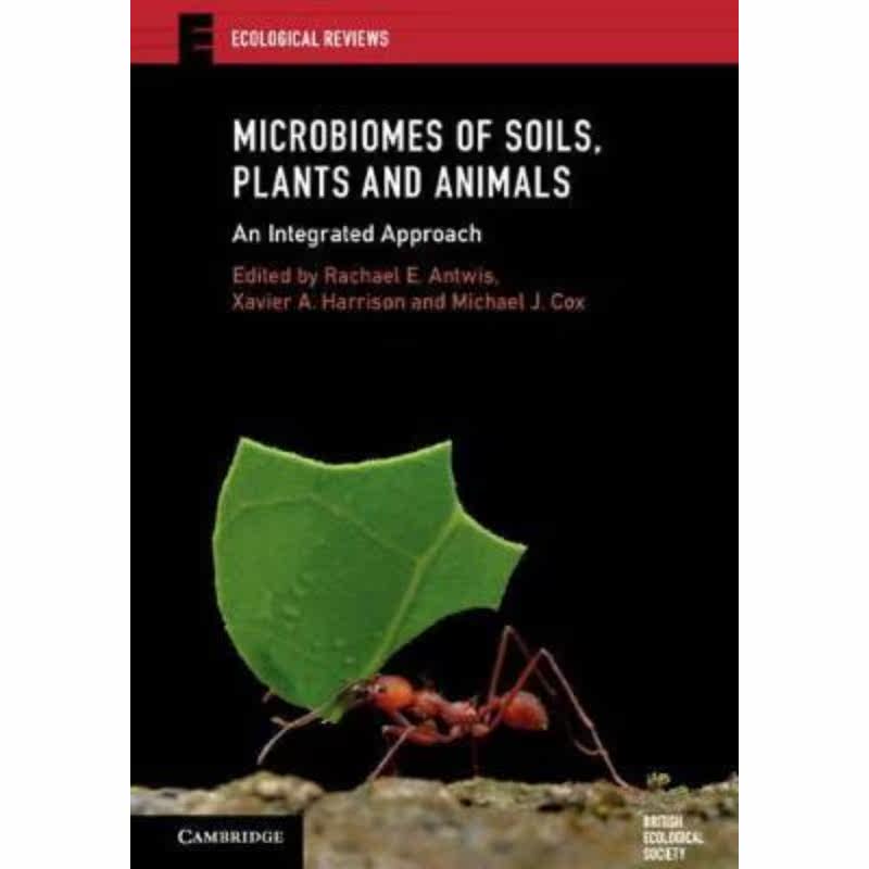 预订，预计下单后3-6周左右发货！