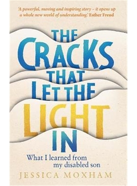 预订The Cracks that Let the Light In:What I learned from my disabled son