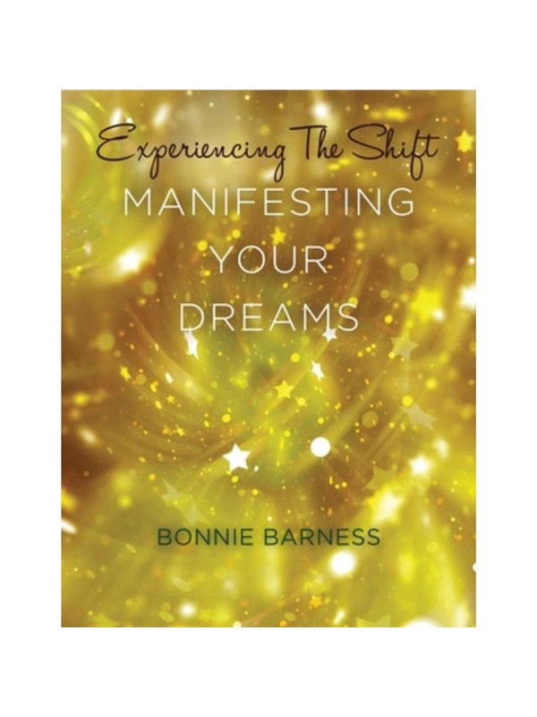 按需印刷Experiencing the Shift[9780980226737]