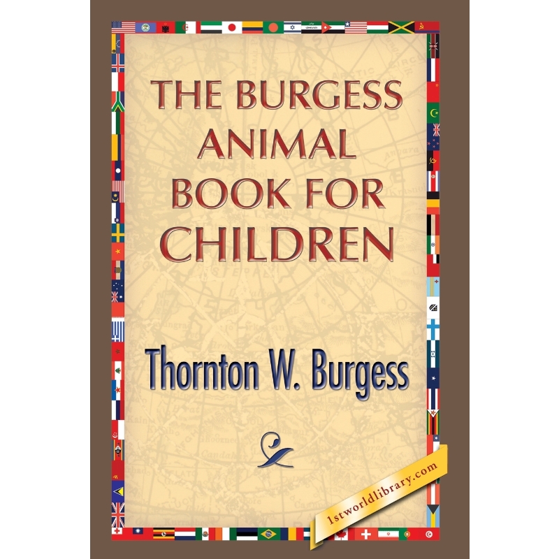 预订，预计下单后2-3周左右发货！