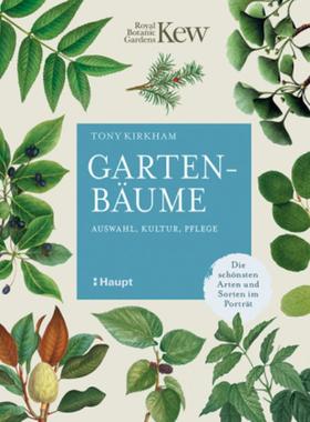 预订【德语】 Gartenbäume:Auswahl, Kultur, Pflege - die schönsten Arten und Sorten im P