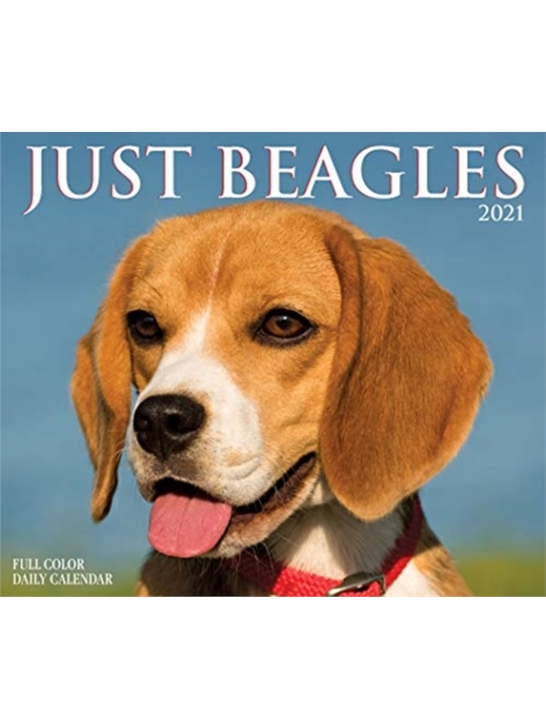 预订，预计下单后4-6周左右发货