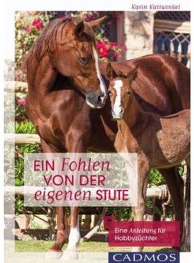 预订【德语】 Ein Fohlen von der eigenen Stute:Eine Anleitung für Hobbyzüchter