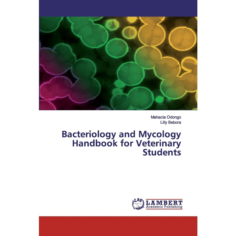 预订，预计下单后2-3周左右发货！