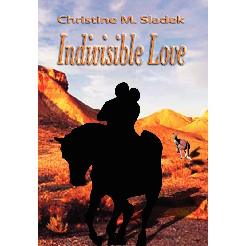 按需印刷不退不换Indivisible Love[9781257803163]