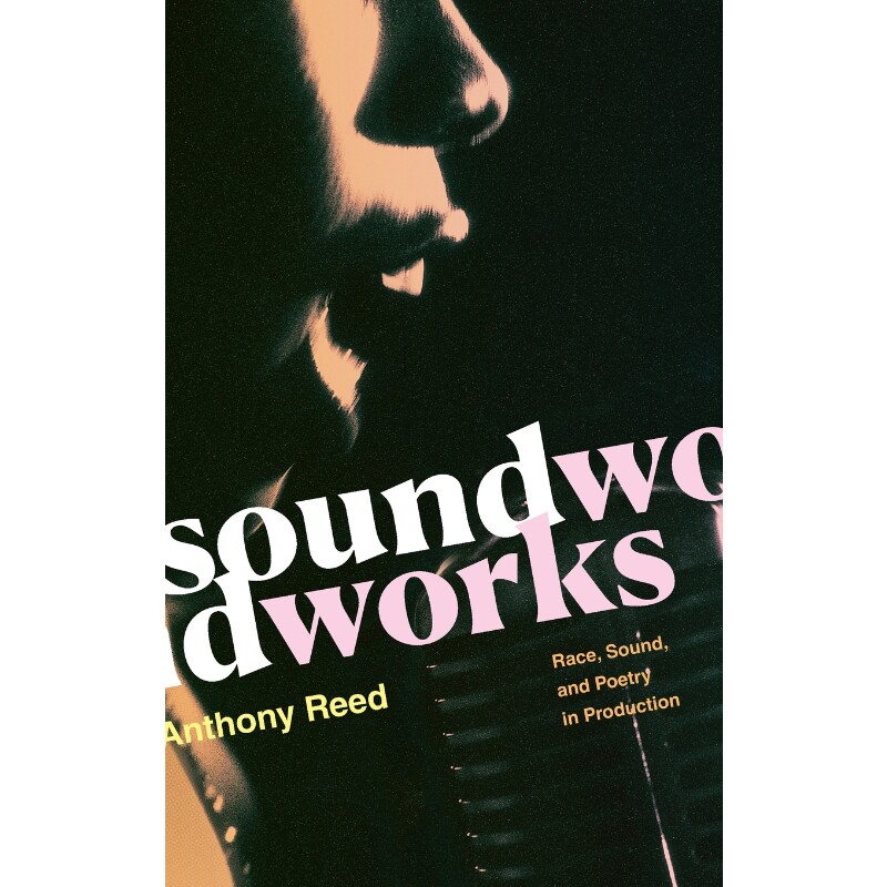 按需印刷不退不换Soundworks[9781478010210]