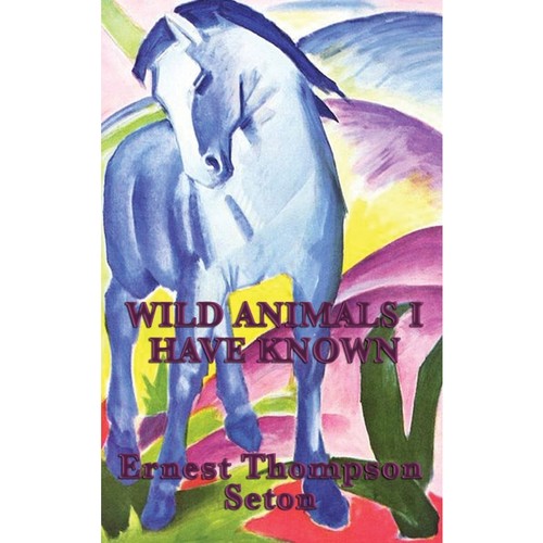 预订，预计下单后2-3周左右发货！