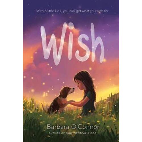 现货 Wish 愿望 英文原版书 儿童文学小说 青少年课外读物 Barbara O'Connor 进口英语书籍 【上海外文书店】
