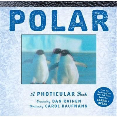 Polar极地动物光与影视