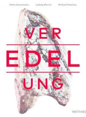 预订【德语】 Veredelung:von Fleisch, Fisch und Gemüse