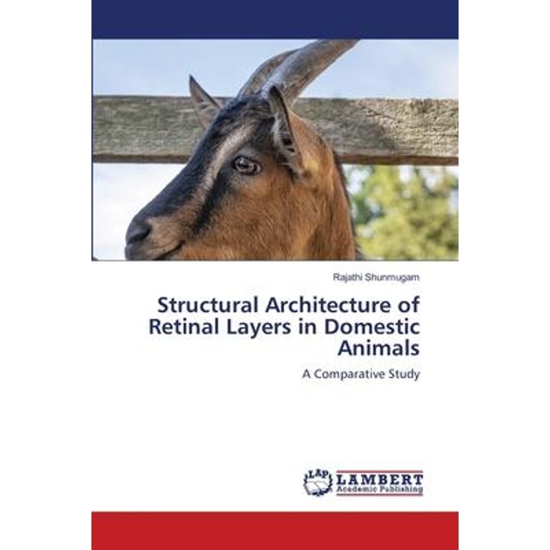 预订，预计下单后2-3周左右发货！