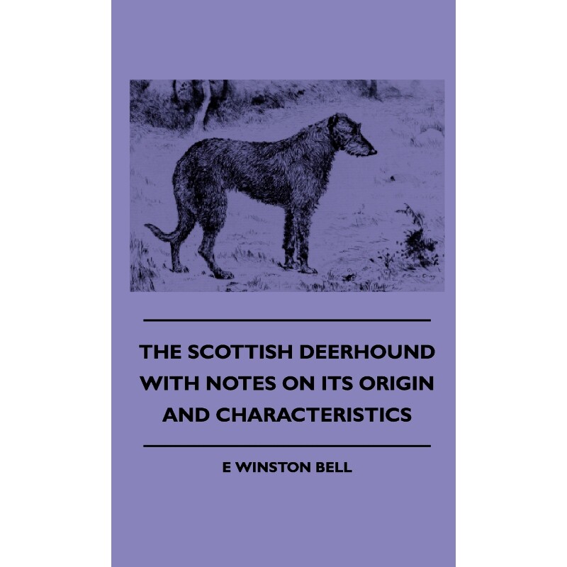 预订，预计下单后2-3周左右发货！