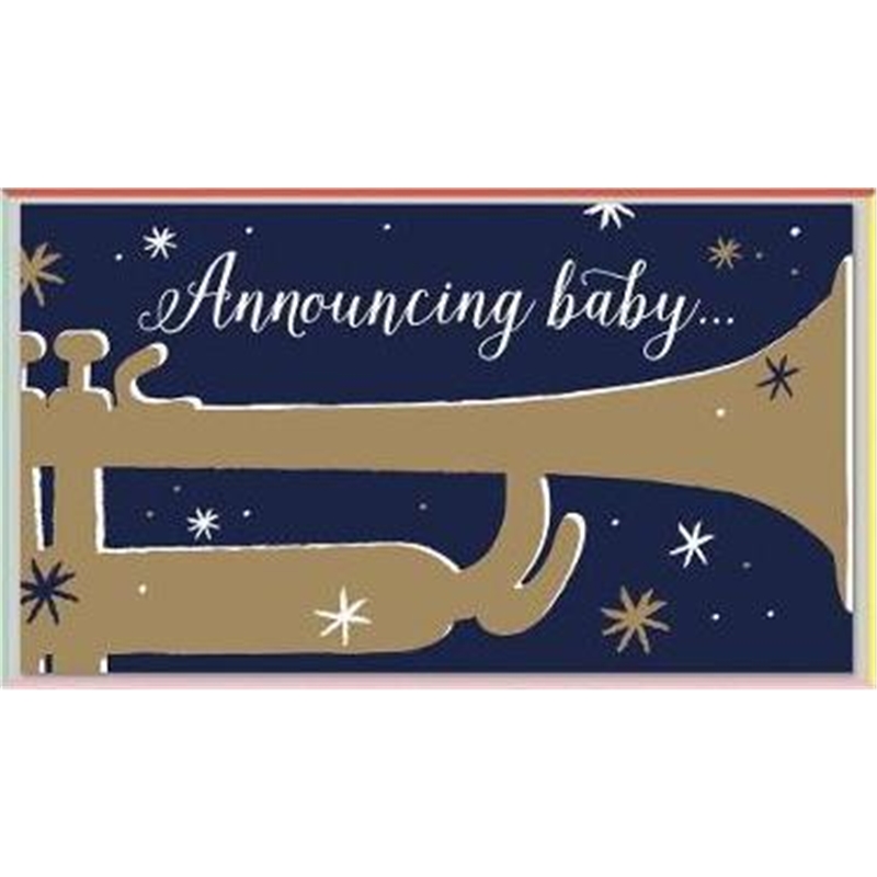 预订，下单后3-4周发货！