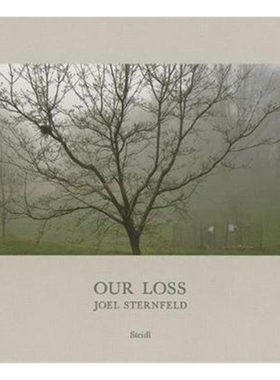 预订Joel Sternfeld: Our Loss