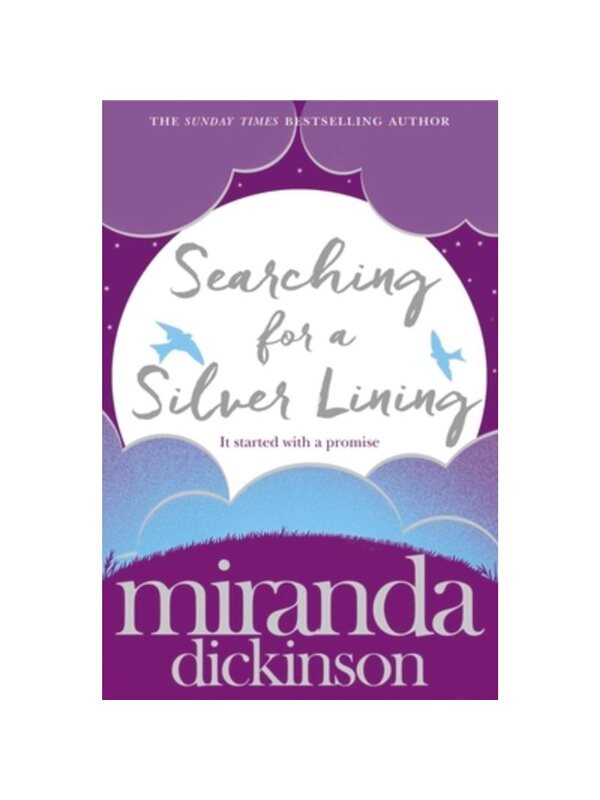 预订，预计下单后3-6周左右发货！