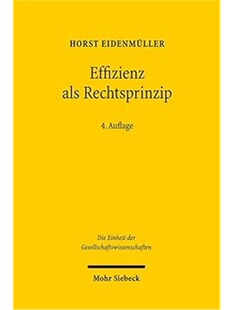 预订不退不换德语Effizienz als Rechtsprinzip
