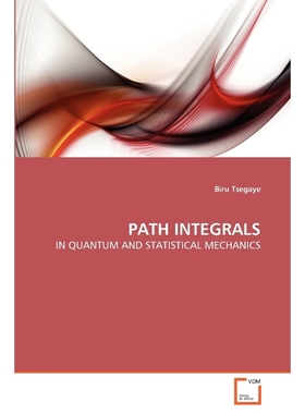 按需印刷PATH INTEGRALS[9783639343113]