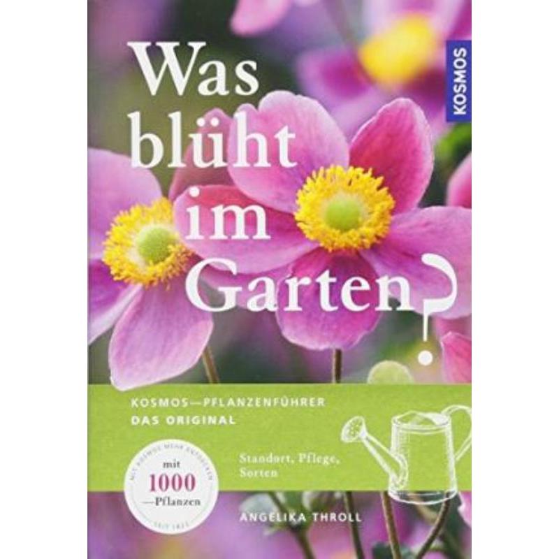 预订，预计下单后3-6周左右发货！