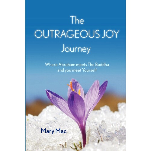 按需印刷不退不换The OUTRAGEOUS JOY Journey[9781445221731] - 封面