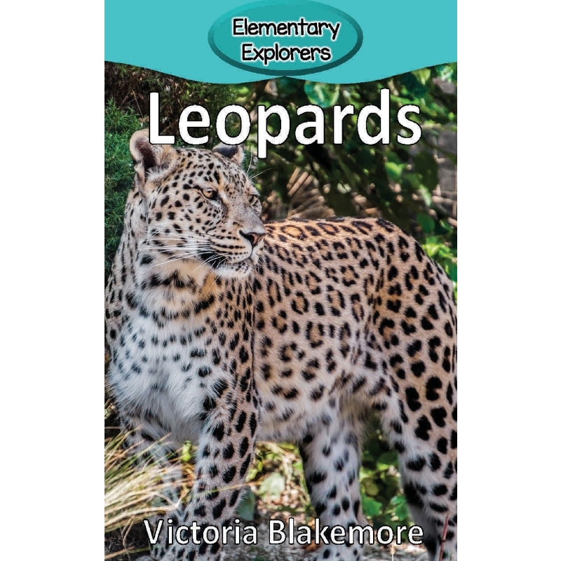 预订，预计下单后2-3周左右发货！