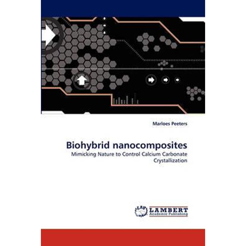 按需印刷Biohybrid nanocomposites[9783838378732] 书籍/杂志/报纸 文学小说类原版书 原图主图