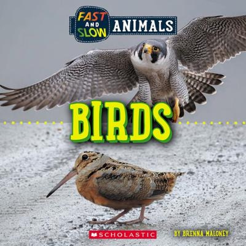 预订fast and slow: birds (wild world)