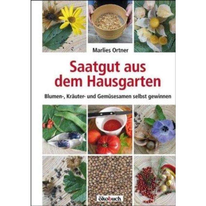 预订，预计下单后3-6周左右发货！