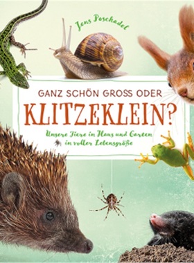 预订【德语】Ganz schon grob oder klitzeklein?[9783440154816]
