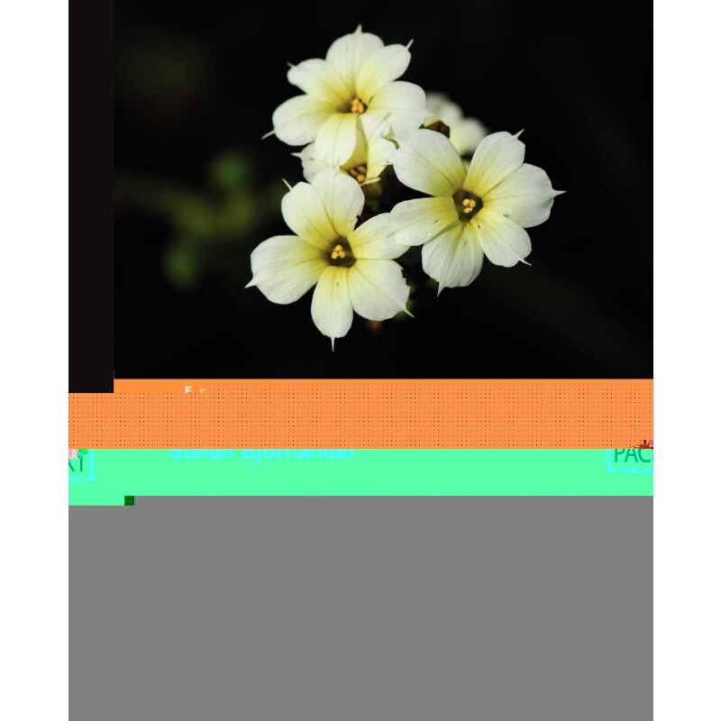 按需印刷不退不换Microsoft Visual C++ Windows Applications by Example[9781847195562]