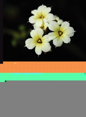 按需印刷Microsoft Visual C++ Windows Applications by Example[9781847195562]