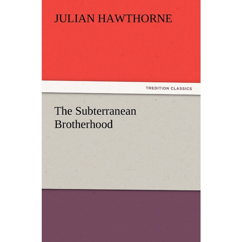 按需印刷不退不换The Subterranean Brotherhood[9783842433458]