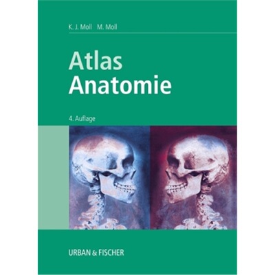 预订不退不换德语Atlas Anatomie[9783437313738]