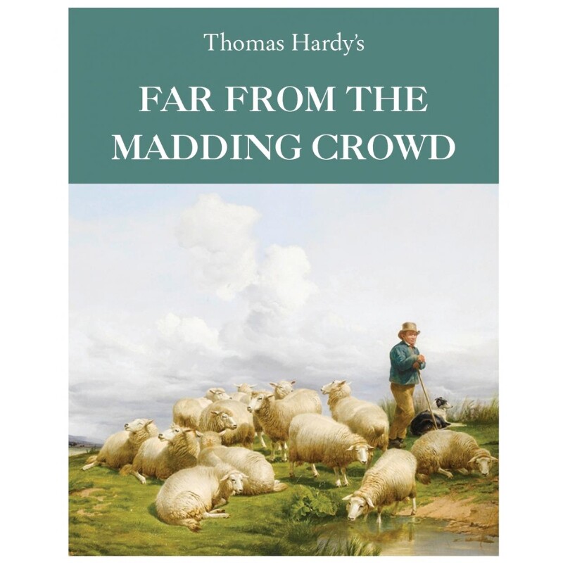 预订，预计下单后2-3周左右发货！