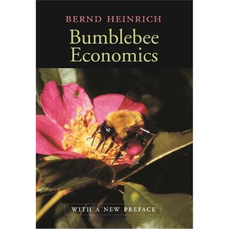 预订Bumblebee Economics:With a New Preface, Revised Edition 书籍/杂志/报纸 科普读物/自然科学/技术类原版书 原图主图