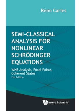 按需印刷Semi-Classical Analysis for Nonlinear Schr?dinger Equations[9789811227905]