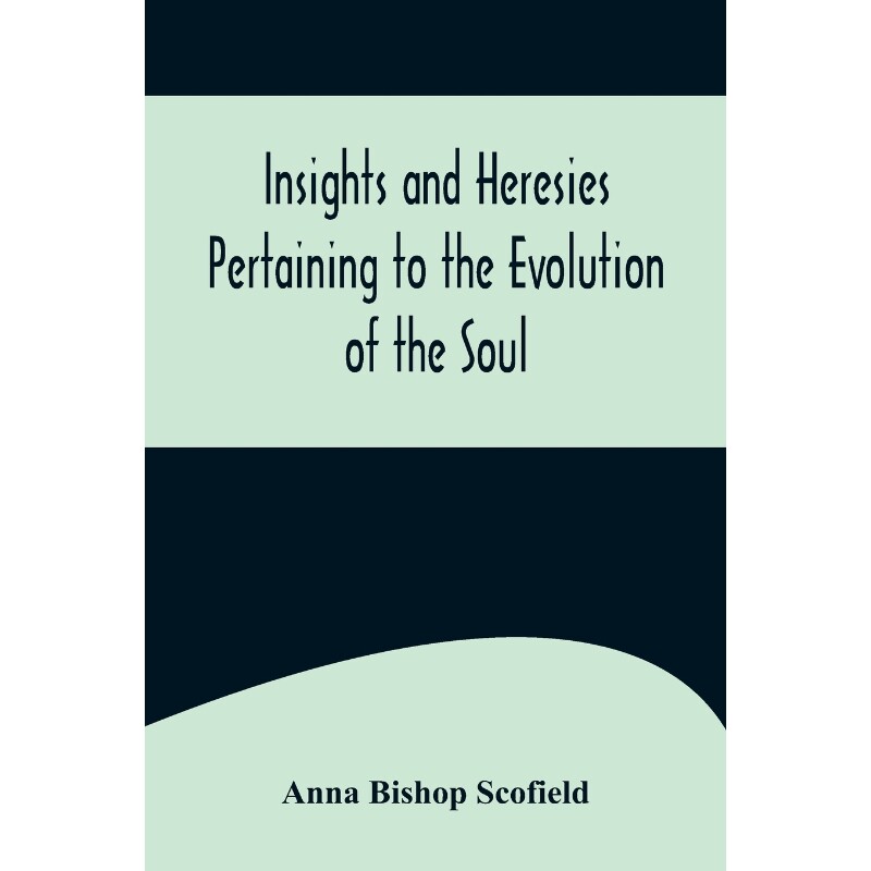 按需印刷不退不换Insights and Heresies Pertaining to the Evolution of the Soul[9789356575721]