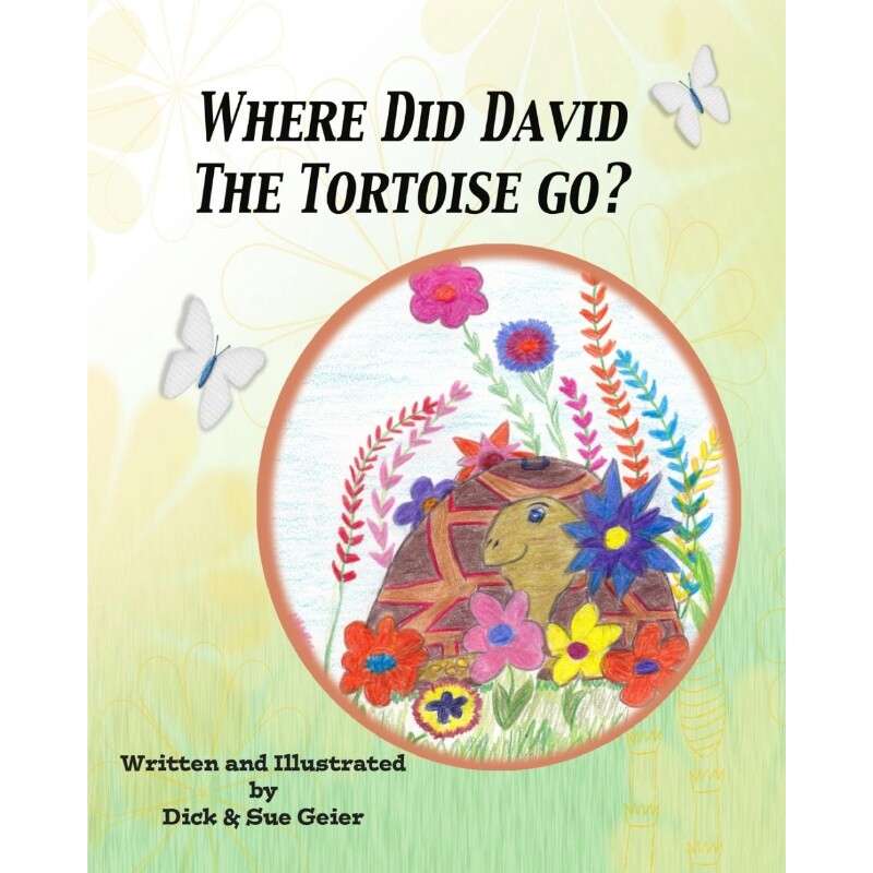 按需印刷不退不换Where Did David The Tortoise Go?[9781367696556]