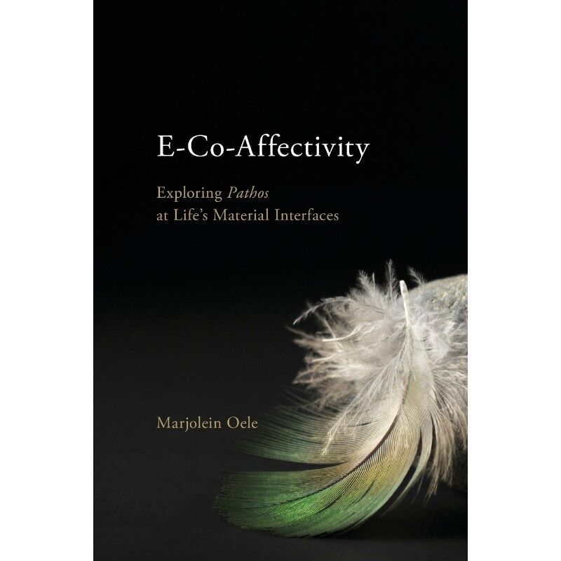 按需印刷不退不换E-Co-Affectivity[9781438478609]