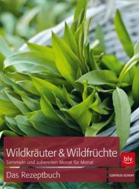 预订【德语】 Wildkräuter & Wildfrüchte Das Rezeptbuch:Sammeln und zubereiten Monat für