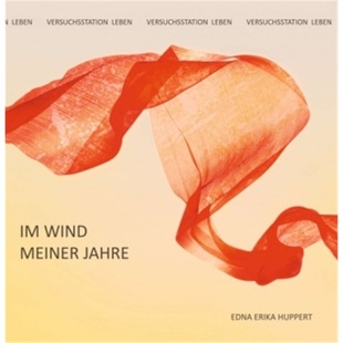 Wind meiner Jahre 预订 9783347164307 德语
