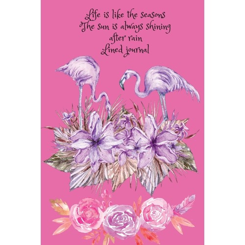 预订，预计下单后2-3周左右发货！