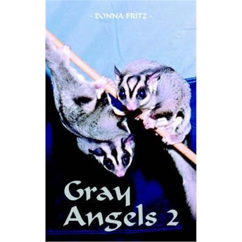 按需印刷不退不换Gray Angels 2[9781420811476]