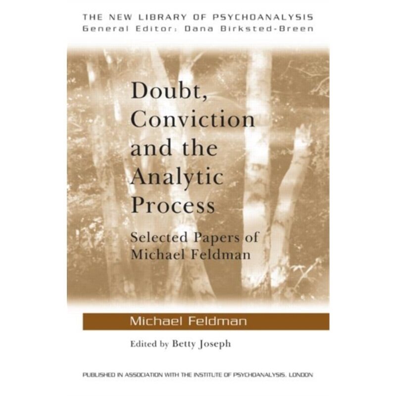 预订不退不换Doubt, Conviction and the Analytic Process[9780415479356]