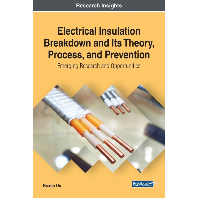 按需印刷不退不换Electrical Insulation Breakdown and Its Theory, Process, and Prevention[9781522588856]