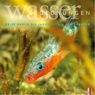 预订【德语】 Wasser Begegnungen[9783039130221]