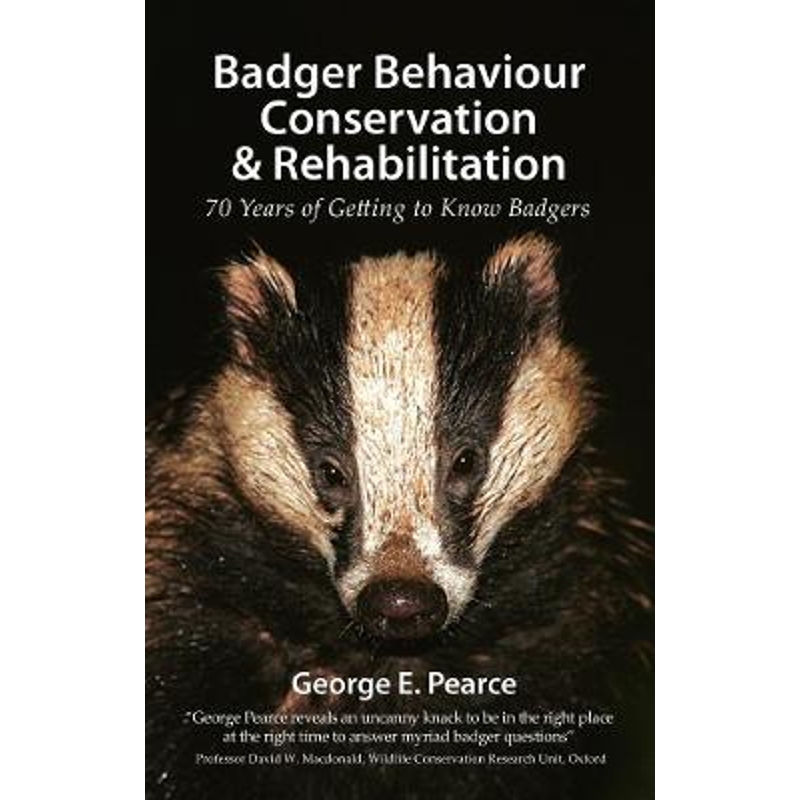 预订，预计下单后2-3周左右发货！