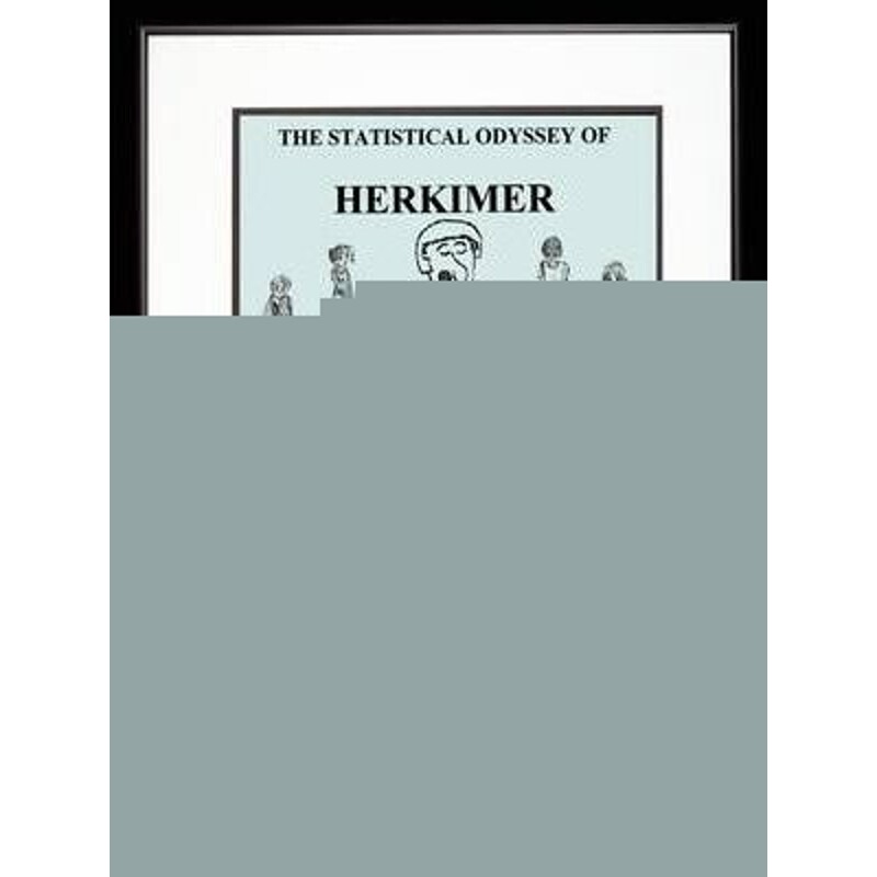 按需印刷不退不换The Statistical Odyssey of Herkimer and the Stat Pack[9781434379672]