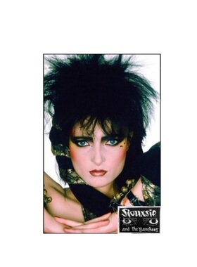按需印刷Siouxsie and the Banshees[9781447769385]