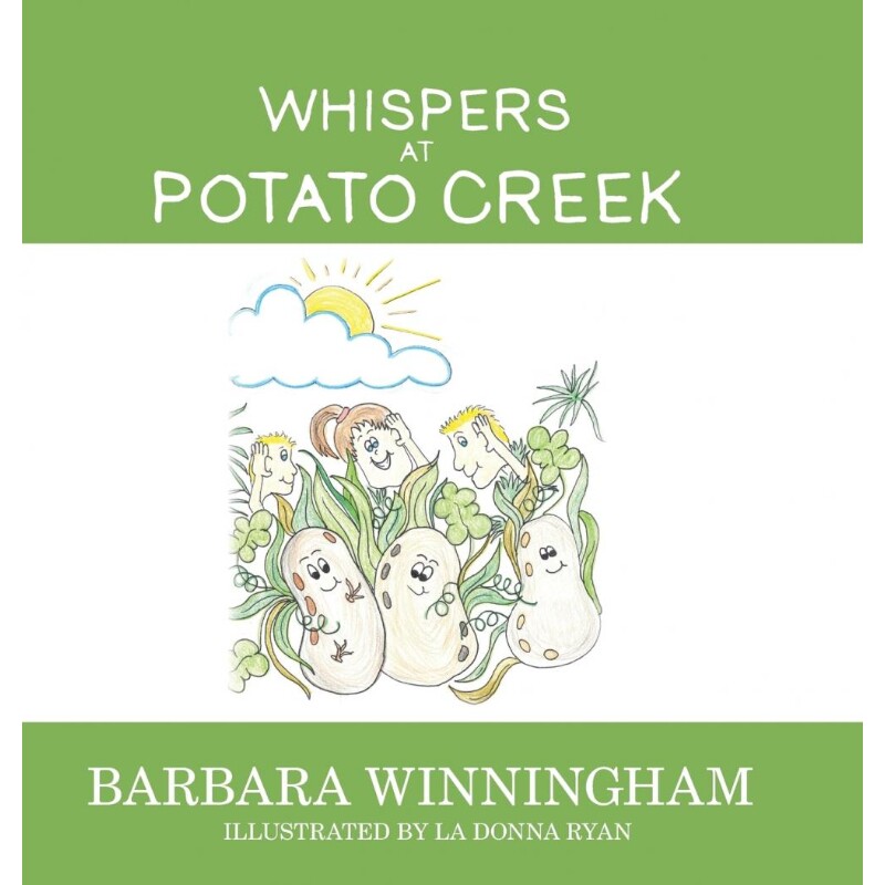 预订，预计下单后2-3周左右发货！